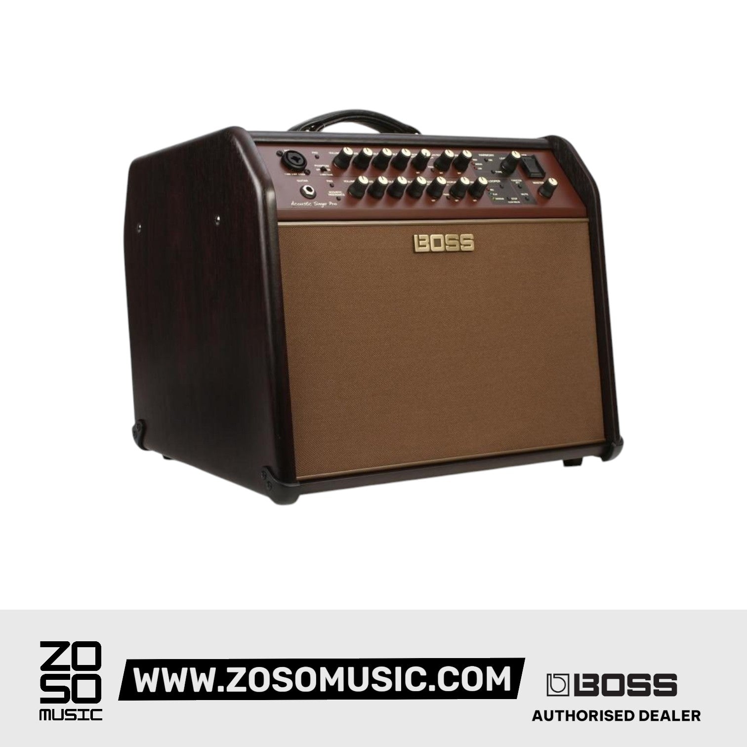 Boss Acoustic Singer Pro 120-watt Acoustic Combo Amplifier | Zoso Music Sdn Bhd