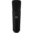 Warm Audio WA-87 R2 Large-diaphragm Condenser Microphone - Black |  WARM AUDIO |  MICROPHONE-CONDENSER |  Zoso Music