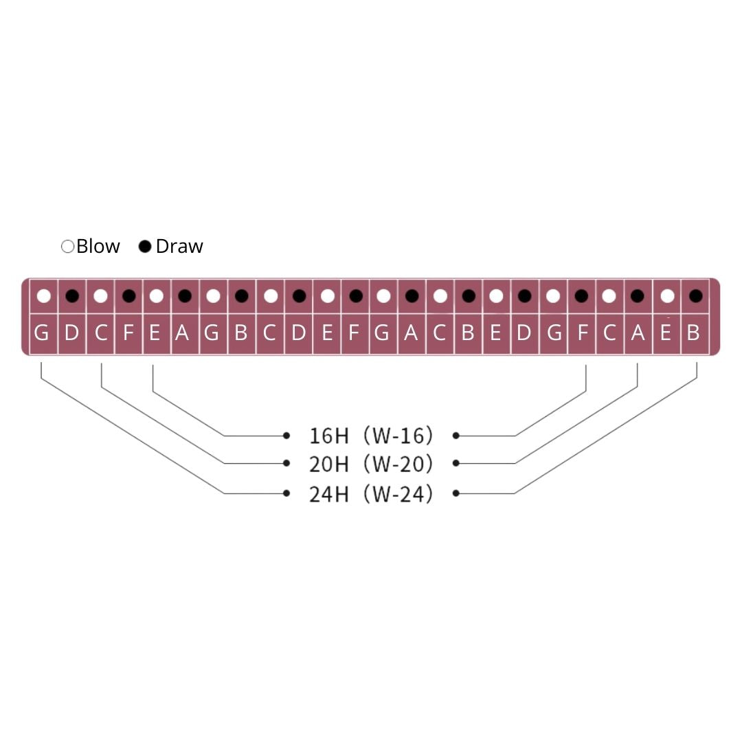 Suzuki Winner 16/20/24 - Holes C Key Tremolo Harmonica 16 Holes ( W-16 W-20 W-24 ) |  SUZUKI |  HARMONICA |  Zoso Music