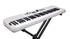 Nux NEK-110 61 Keys Portable Digital Electronic Keyboard |  NUX |  PIANO-DIGITAL |  Zoso Music