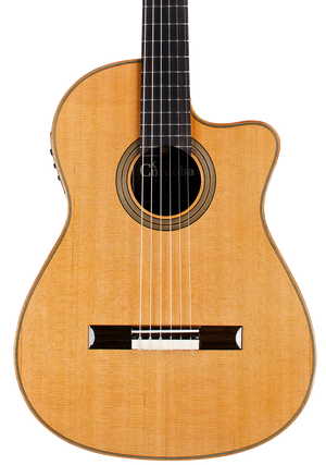 Cordoba Fusion Orchestra CE Cedar - Solid Canadian Cedar Top, Rosewood Back & Sides with Pickup |  CORDOBA |  CLASSICAL GUITAR |  Zoso Music