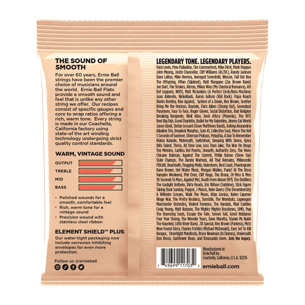 Ernie Ball P02801 Flatwound Group 2 Short Scale Electric Bass Strings, 45-105 Gauge |  ERNIE BALL |  STRINGS-BASS GUITAR |  Zoso Music