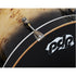 DW PDP 2023 LTD 5-pc Drum Kit with Hardware - Mapa Burl to Black Burst Lacquer |  PDP |  DRUM-ACOUSTIC |  Zoso Music