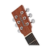 Tanglewood TR3 Roadster II Orchestra/Folk Size Best Beginner Acoustic Guitar for Starters |  TANGLEWOOD |  ACOUSTIC GUITAR |  Zoso Music