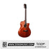 SQOE S360T-SK 41 inch Solid Top Acoustic Guitar