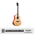 SQOE S370T-SK 41 inch Solid Top Acoustic Guitar