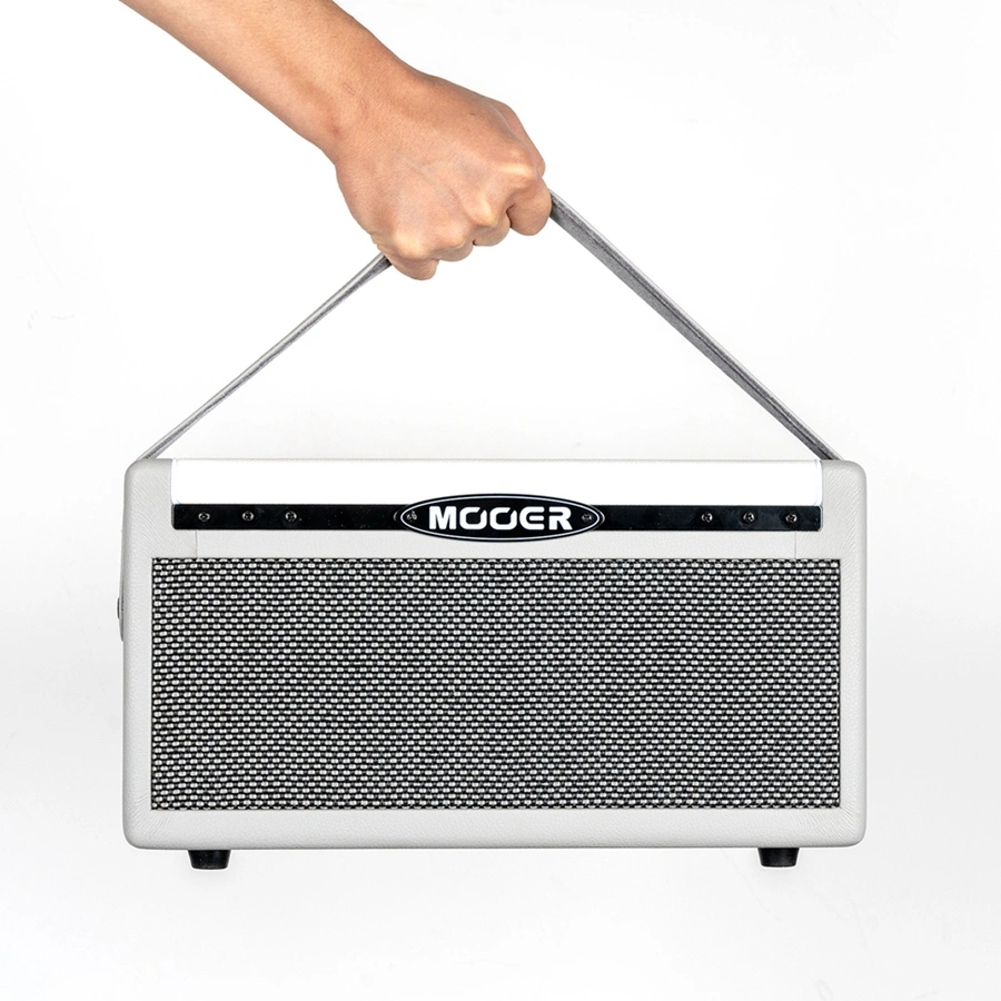 Mooer SD30i Intelligent Amplifier