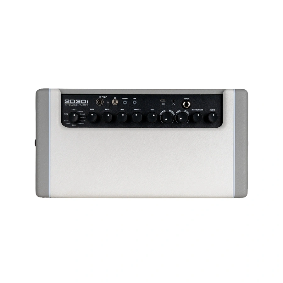Mooer SD30i Intelligent Amplifier