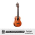 SQOE SQ-2410C , 24 inch Concert Full Solid Mahogany Body Ukulele