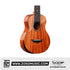 SQOE SQ-2410C , 24 inch Concert Full Solid Mahogany Body Ukulele | Zoso Music Sdn Bhd