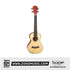 SQOE SQ-UK-603 , 26 inch Tenor Solid Top Spruce & Mahagony Body Ukulele