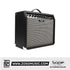 Sqoe SQ-60G Portable 60W Electric Guitar Amplifier | Zoso Music Sdn Bhd
