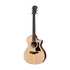 Taylor 312ce V-Class Grand Concert Acoustic Guitar w/Case |  TAYLOR |  ACOUSTIC GUITAR |  Zoso Music