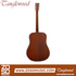 Zoso Music Tanglewood TC5 Crossroads dreadnought acoustic guitar back view featuring mahogany wood grain finish