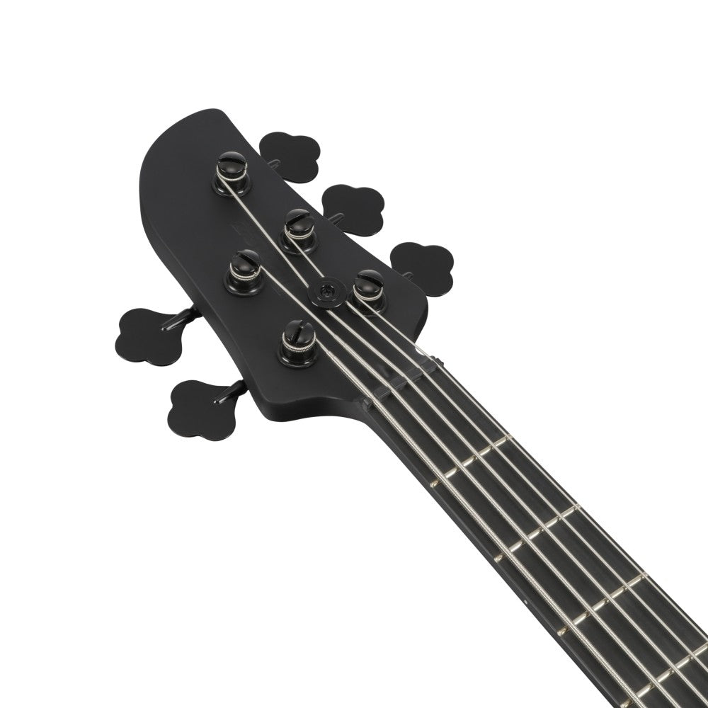 Ibanez TMB425B-BKF Talman Bass Standard Series 5 Strings Electric Bass, Black Flat |  IBANEZ |  BASS GUITAR |  Zoso Music