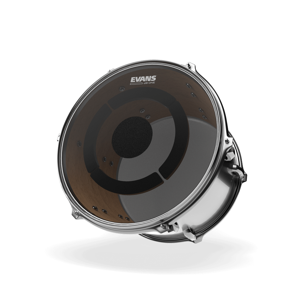 Evans db One 12