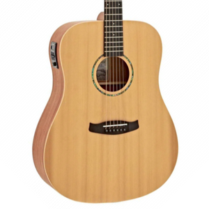 Tanglewood TR5 E Roadster II Dreadnought Acoustic-Electric Guitar | Zoso Music Sdn Bhd