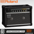 Roland JC-22 Jazz Chorus 30-watt 2x6.5 Stereo Combo Amplifier (JC22), ROLAND, GUITAR AMPLIFIER, roland-guitar-amplifier-jc-22, ZOSO MUSIC SDN BHD
