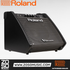 Roland PM-100 80-Watt 1x10 2-Channel Powered Drum Monitor (PM100 / PM 100), ROLAND, DRUM AMPLIFIER, roland-drum-amplifier-pm-100, ZOSO MUSIC SDN BHD