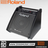 Roland PM-100 80-Watt 1x10 2-Channel Powered Drum Monitor (PM100 / PM 100), ROLAND, DRUM AMPLIFIER, roland-drum-amplifier-pm-100, ZOSO MUSIC SDN BHD