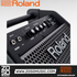 Roland PM-100 80-Watt 1x10 2-Channel Powered Drum Monitor (PM100 / PM 100), ROLAND, DRUM AMPLIFIER, roland-drum-amplifier-pm-100, ZOSO MUSIC SDN BHD