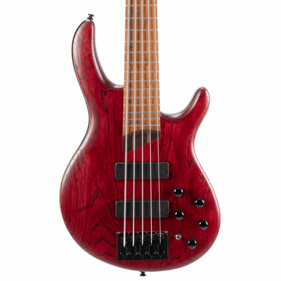 Cort B-5 Element 5-String Bass Front View Zoso Music 