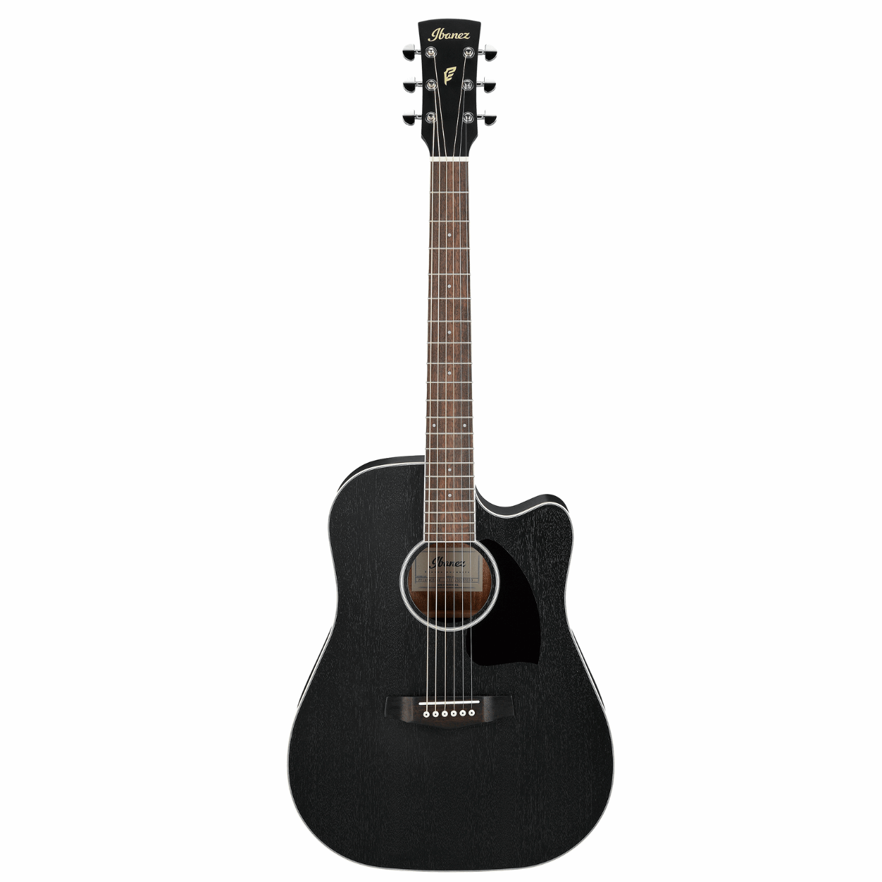 Ibanez PF16MWCE Front View - Zoso Music