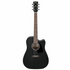 Ibanez PF16MWCE Front View - Zoso Music