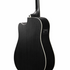 Ibanez PF16MWCE Close-up - Zoso Music