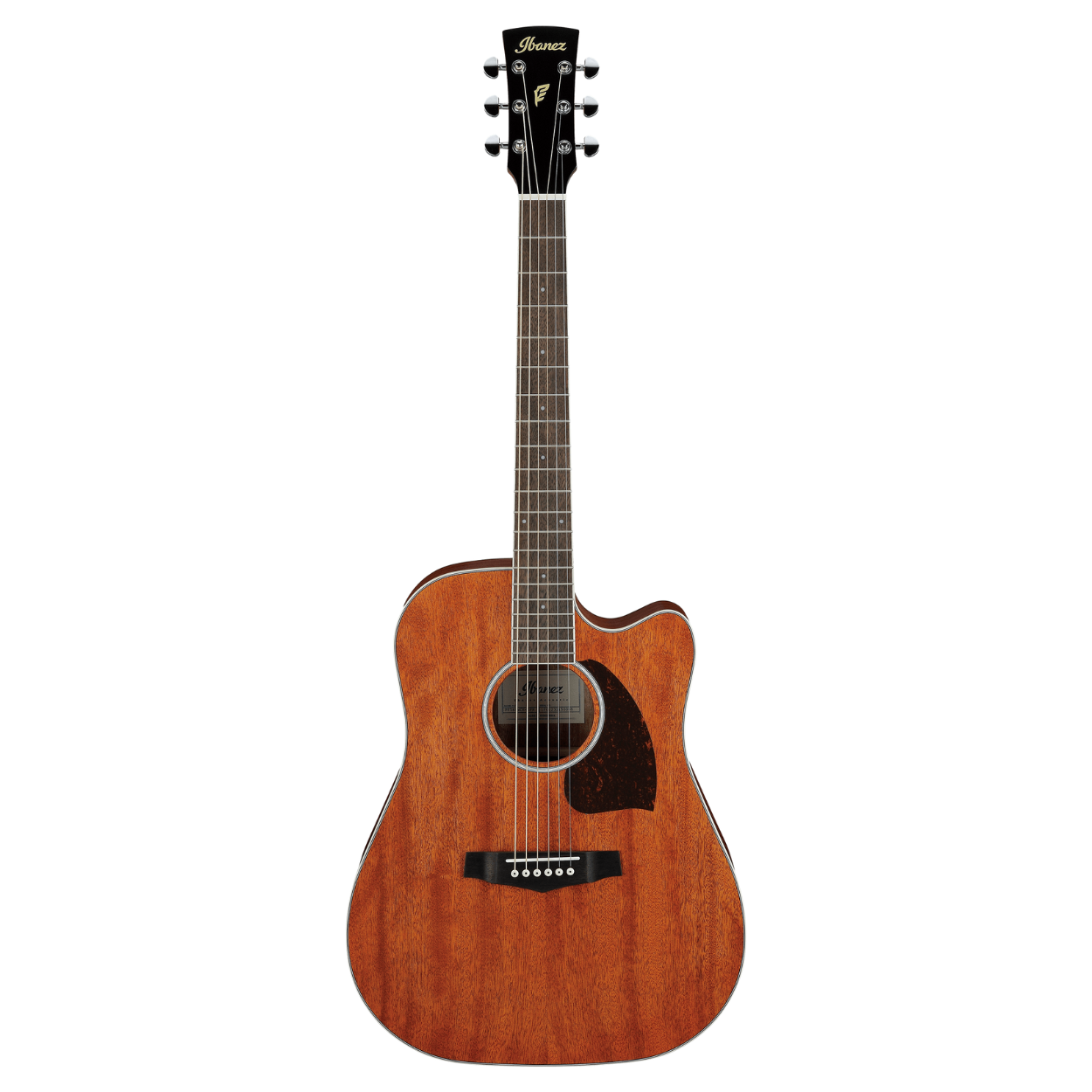 Ibanez PF16MWCE Front View - Zoso Music