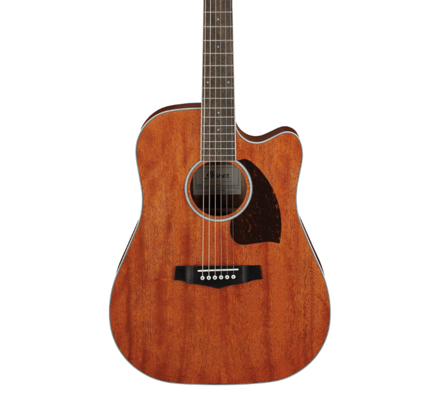 Ibanez PF16MWCE-OPN Acoustic Guitar, Open Pore Natural |  IBANEZ |  ACOUSTIC GUITAR |  Zoso Music