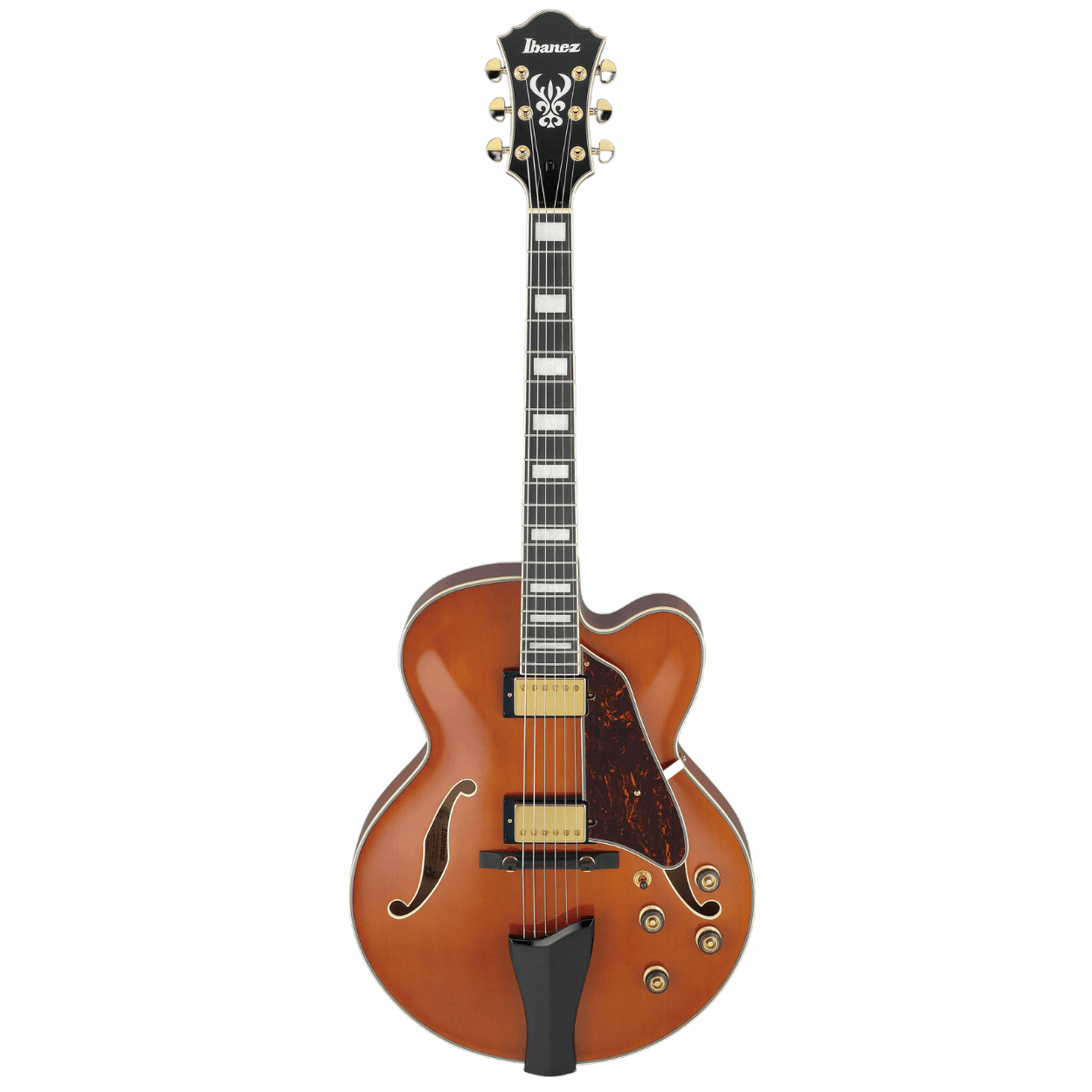 Ibanez Artcore Expressionist AF95 Hollowbody Electric Guitar Front View Zoso Music
