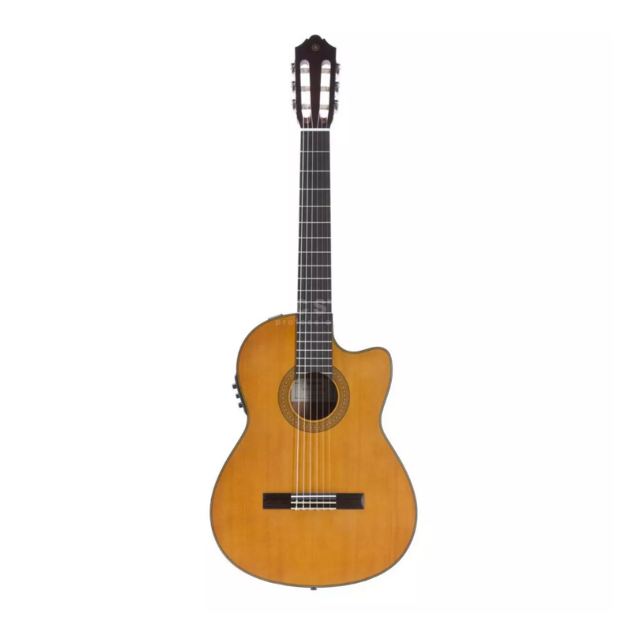 Yamaha CGX122MCC 6-string Nylon-string Classical Guitar *Price Match Promotion*