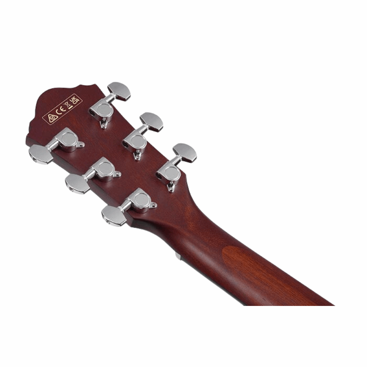 Ibanez AEG50 Close-up - Zoso Music