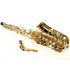 Astro By Antigua WAS31LQ-AH Eb Alto Saxophone Lacquer With Case (WAS31LQAH |  ANTIGUA |  WOODWINDS-SAXOPHONE |  Zoso Music