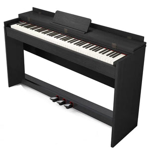 Neowood DP60 88Keys Digital Piano |  NEOWOOD |  PIANO-DIGITAL |  Zoso Music