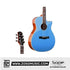 SQOE XLDC Series Acoustic Guita