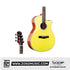 SQOE XLDC Series Acoustic Guita
