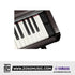 Yamaha Arius YDP-146 88-Keys Digital Piano