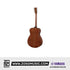 Yamaha Storia III Concert Acoustic Guitar |  YAMAHA MUSIC |  ACOUSTIC GUITAR |  Zoso Music