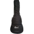 Cort X Series X300 Zoso Music