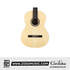Cordoba Protege C1M - Spruce Top, Mahogany Back & Side, Full Sized  |  CORDOBA |  CLASSICAL GUITAR |  Zoso Music