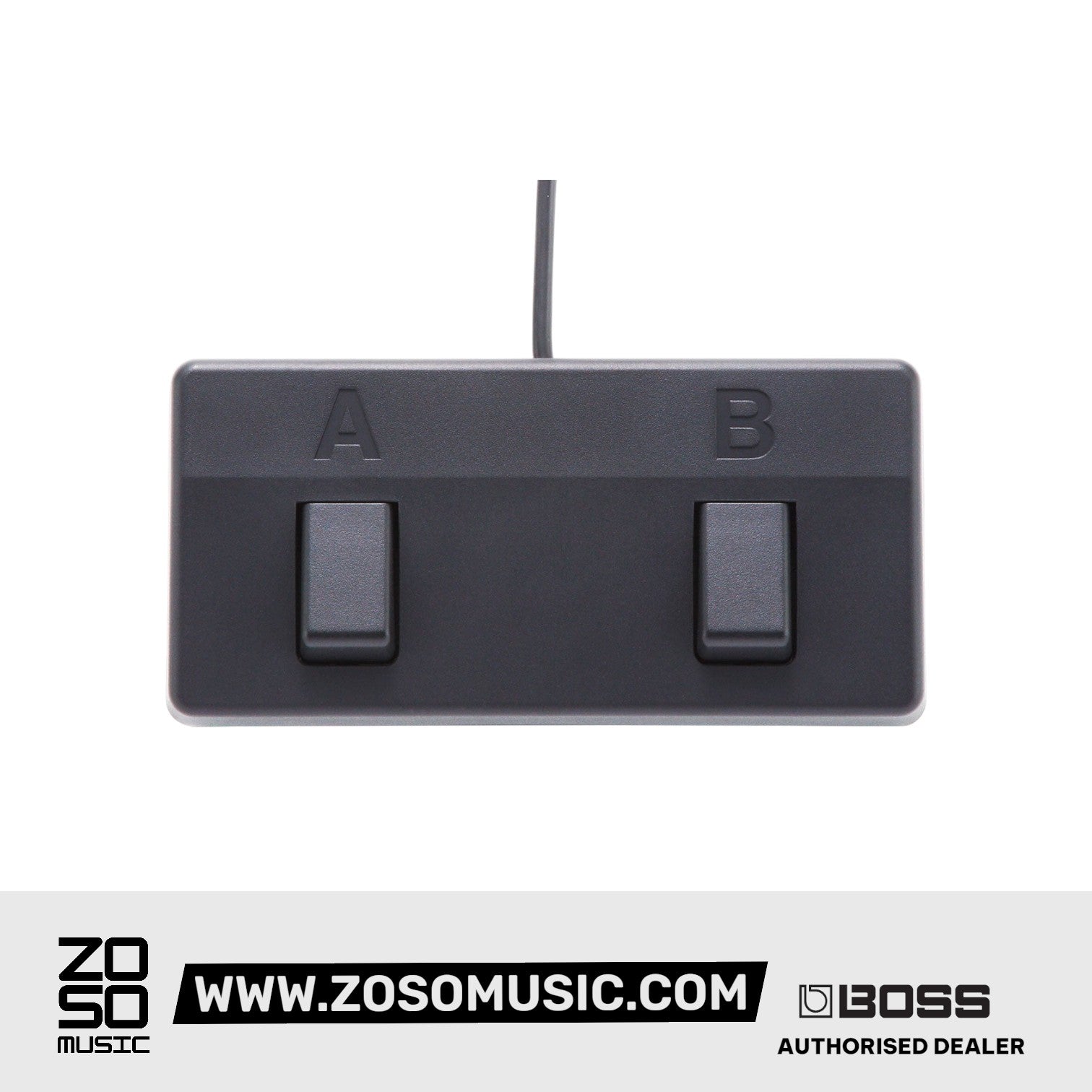 Boss Acoustic Singer Live LT 60-watt Bi-amp Acoustic Combo | BOSS , Zoso Music