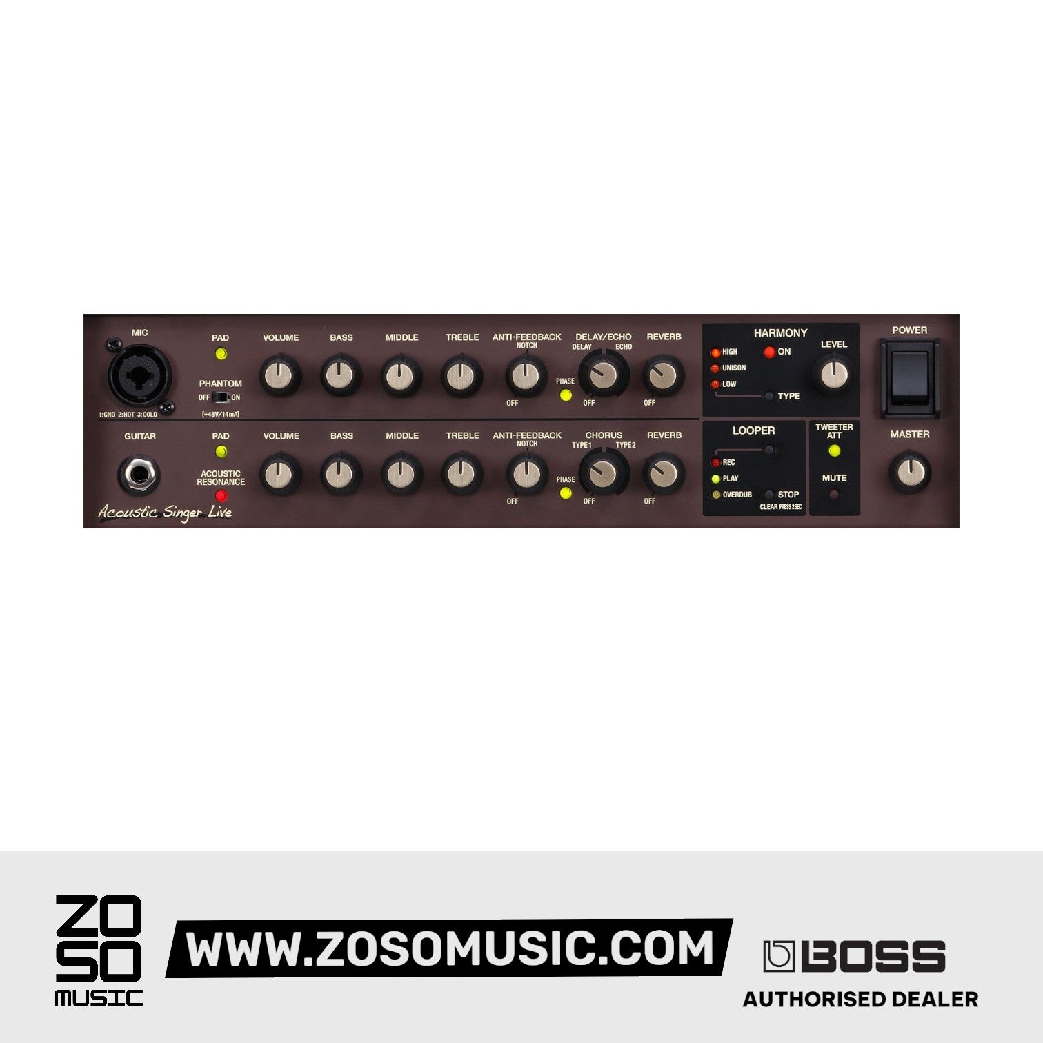 Boss Acoustic Singer Live LT 60-watt Bi-amp Acoustic Combo | BOSS , Zoso Music