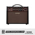 Boss Acoustic Singer Live LT 60-watt Bi-amp Acoustic Combo | BOSS , Zoso Music