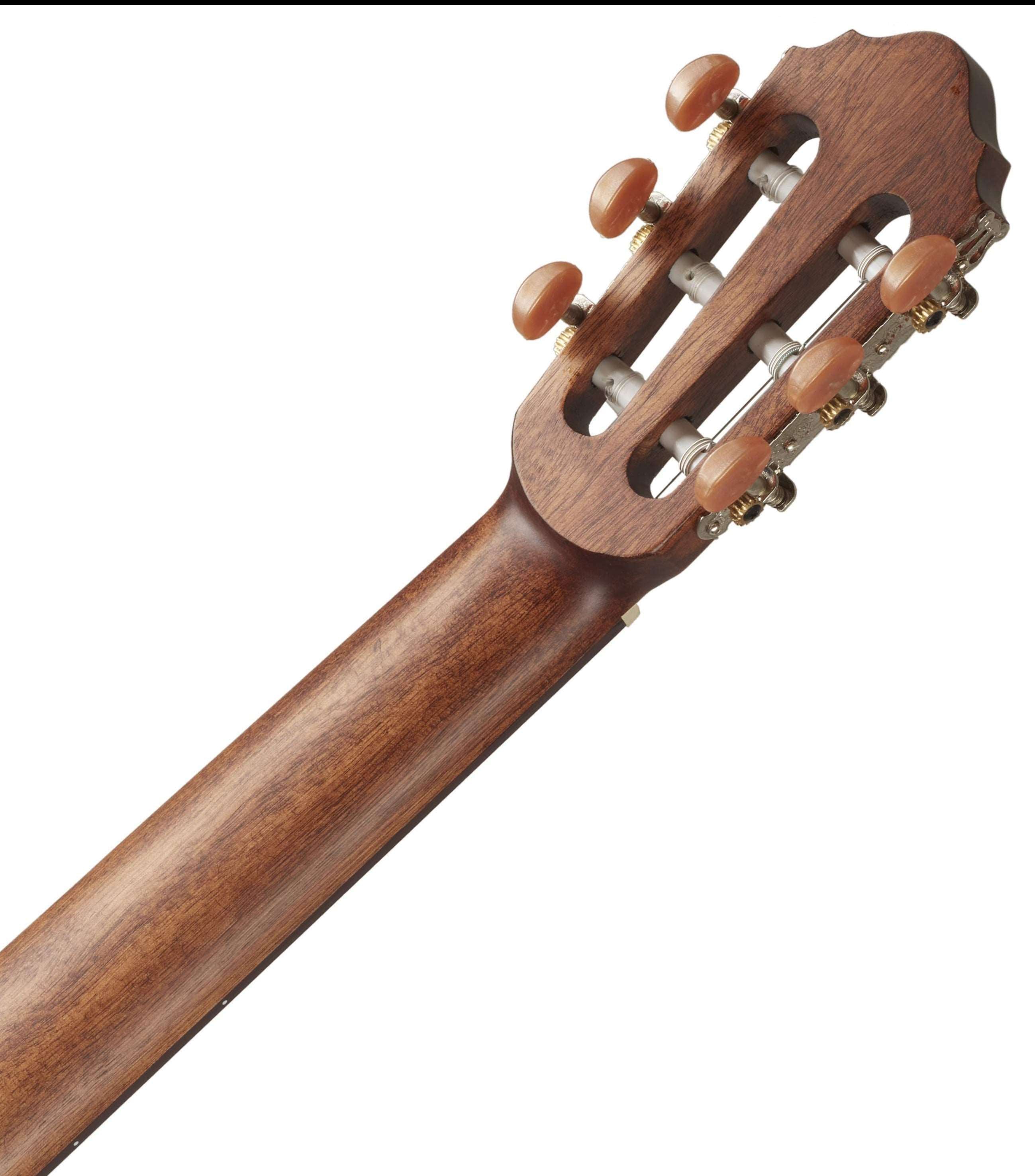 Cort AC-200 Classical Guitar Open Pore | CORT , Zoso Music
