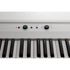 Korg Liano L1 Portable Digital Piano - ZOSO MUSIC