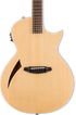 ESP LTD TL-6 Thinline Series Acoustic-Electric Guitar - Natural |  LTD |  ELECTRIC GUITAR |  Zoso Music