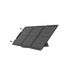EcoFlow 60W Portable Solar Panel