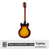 Epiphone ES-335 Semi Hollowbody Electric Guitar